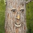 Gartendeko
