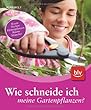 Planzen